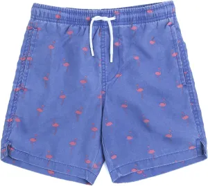 INGEAR Little Boys Quick Dry Beach Board Shorts Kids Swim Trunk Swimsuit Beach Shorts Swim Trunk for Boys